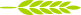 icon verte